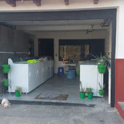 Lavandería "Eco Lavado"