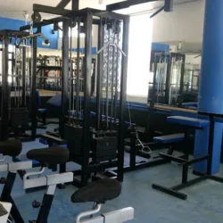 Bulldog's Gym 2 Las Flores