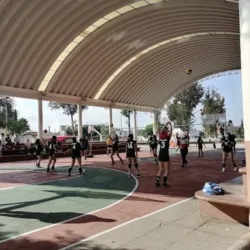 Canchas