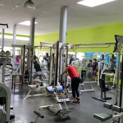 Gym Egos ( Pablo )