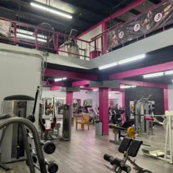 Toxik Fitness