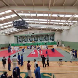 Gimnasio Guillermo Ortega Vargas
