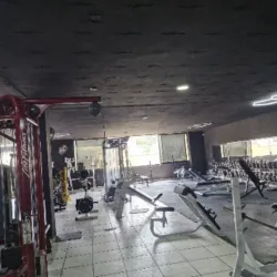 Forte Gym