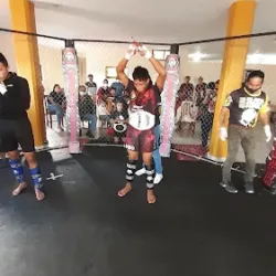 LION WARRIOR´S ARTES MARCIALES HUAUCHIANGO