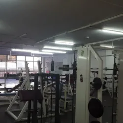 Tiger Team Gym