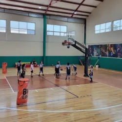 Gimnasio burocratas