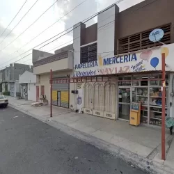 Papelería Mercería Regalos "Nayliz"