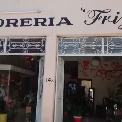 FLORERIA FRIZIA "FRIZIA ARTE FLORAL"
