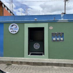 Pro Clean Sneakers Spa