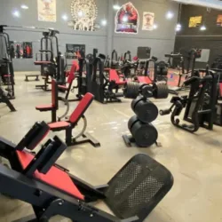 UniversalGym