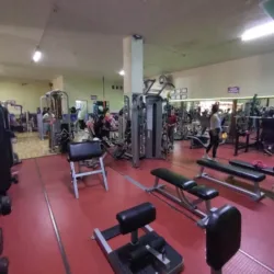 Woman Fitness Gym