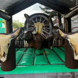 Renta (mobiliario) de sillas, mesas, brincolines, toldos y toros mecanicos.