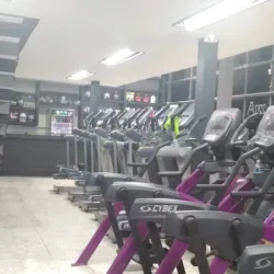 Muscle & Fitness Zamora