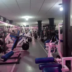 The Gold Gym I Tulyehualco