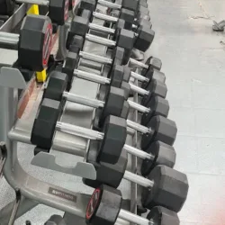 muscle lovers gym