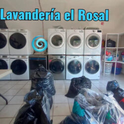 Lavandería El Rosal