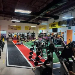 Ray Wilson Family Fitness La Paz