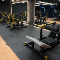 Falcon Fitness venta de equipo de gimnasio