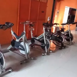 Master Gym