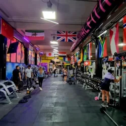 International Fitness
