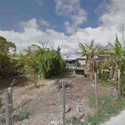 Papelería y Mercería Marisa