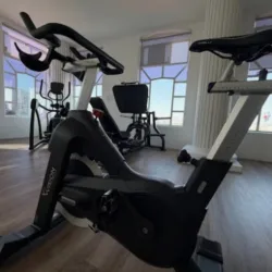 ShowRoom Vision Fitness Mx