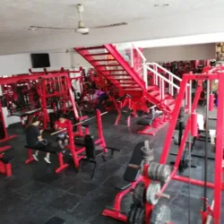 Mega Gym