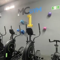 MC LOFTS Y MC GYM