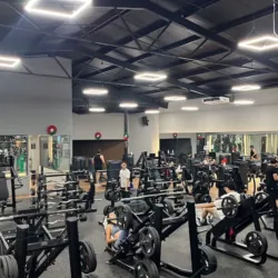 Gimnasio Studio Fitness - Campestre