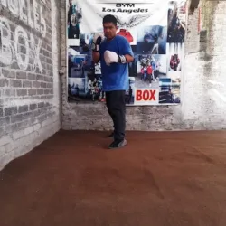 Escuela de boxeo Los Ángeles Boxing Team