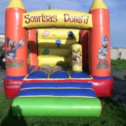 INFLABLES Y CARPAS
