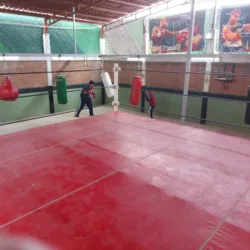 Gimnasio de BOX (Boxing wolves)