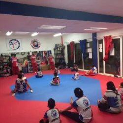 TKD Pitbulls concordia