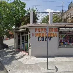 Papelería Y Mercería Lucy