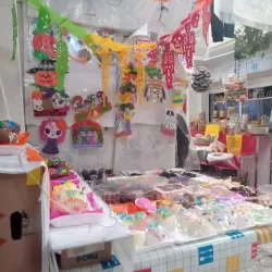 MERCERÍA Y DISFRACES LUPITA
