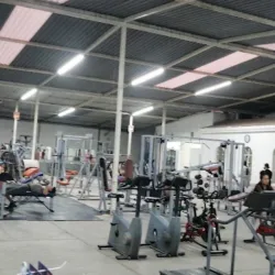 TAURUS GYM