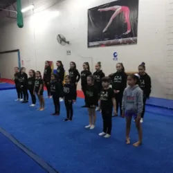 Voler Gym