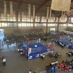 Guerreros Box