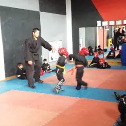 Academia de Formación Deportiva ROCHA Kung Fu
