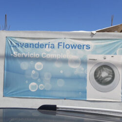 Lavanderia Flowers