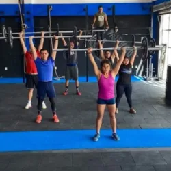 Gorilla Workout House