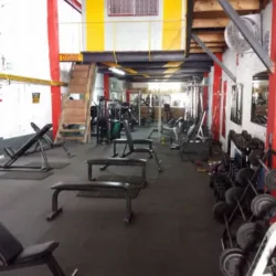 ROCK GYM