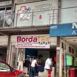 Bordatex Morelia