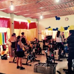 SPINNIG INDOOR GRIS'S