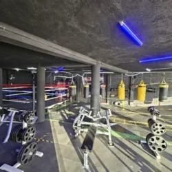 THE FORCE FACTORY GIMNASIO