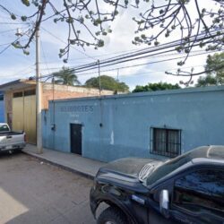 Tienda Tío Gusano