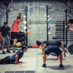Primal -Strength & Conditioning-