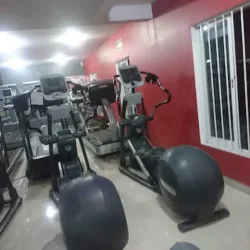 Gym Hooligan's