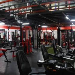 Global Training