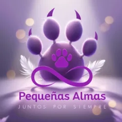Pequeñas Almas Crematorio de Mascotas